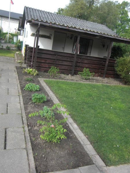 Pflanzen von Steffi