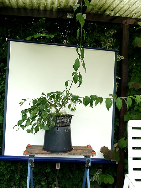 Wurde langsam Zeit....