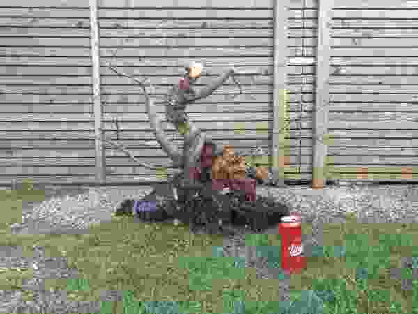 BFF16.jpg