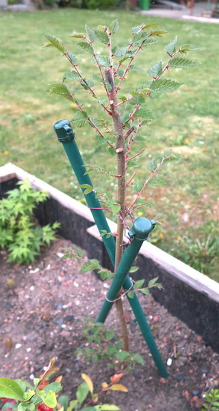 2018-04-30 20.46.09.jpg