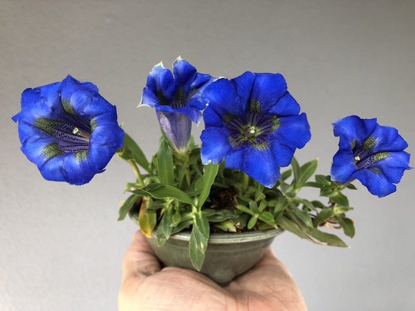 2018-05-01 .jpg