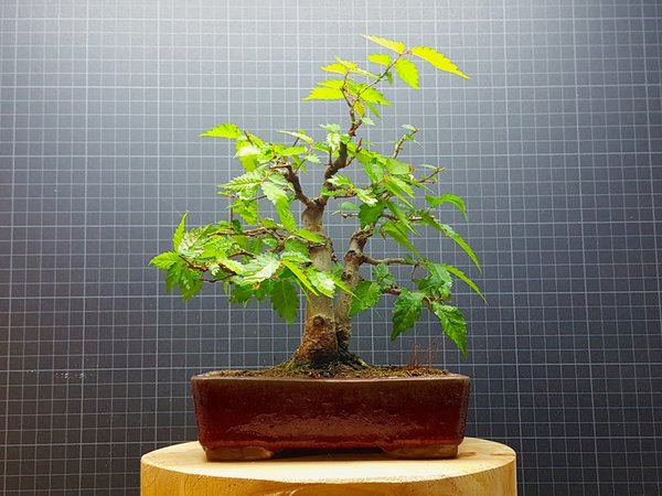 20180505_085723.jpg