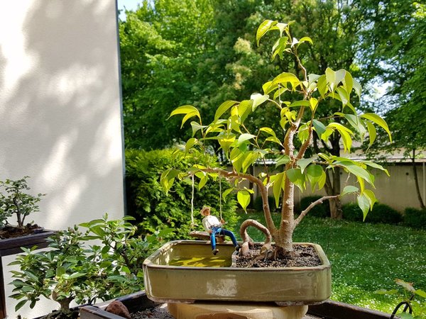 20180505_153832.jpg