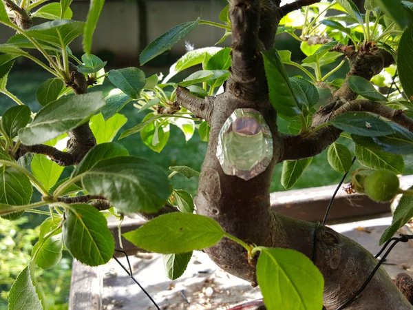 20180506_174638.jpg