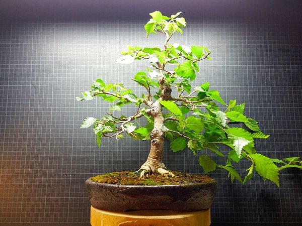20180506_205452.jpg