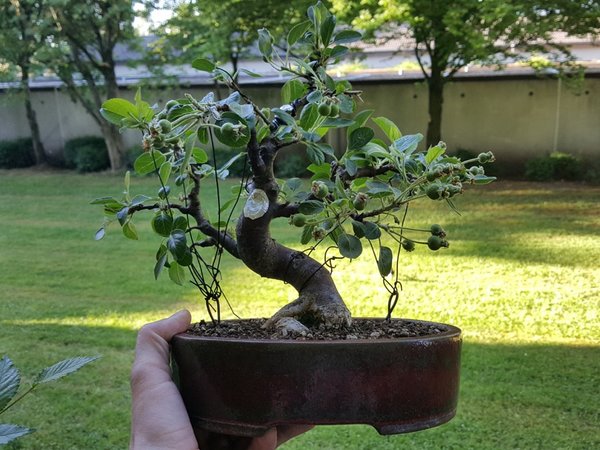 20180508_074055.jpg