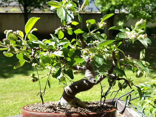 20180508_110249.jpg