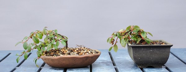 20180217_a.jpg