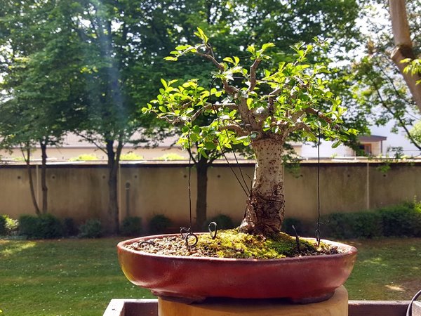 20180512_120807.jpg