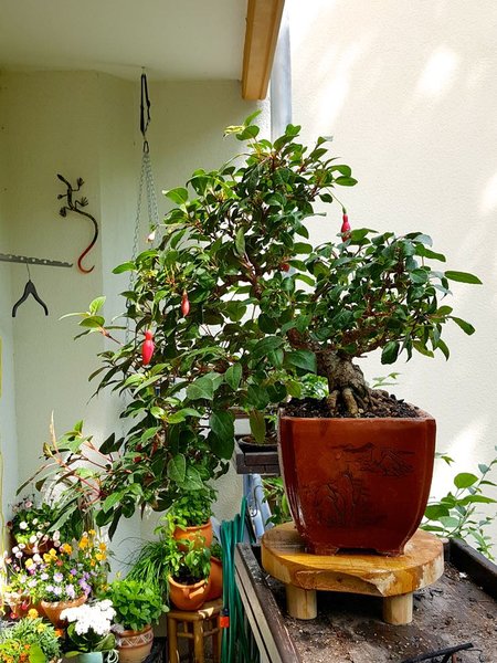 20180512_145905.jpg
