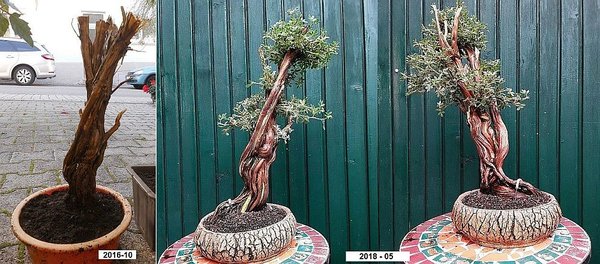 Poti-Martha-Yampe-Schale.jpg