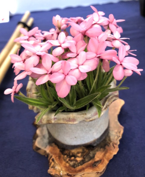 2018-05-12 16.44.41.jpg