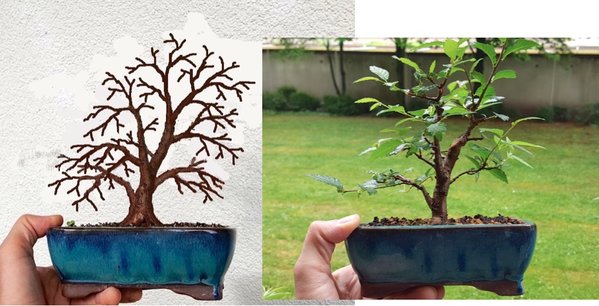 mit Schale ca 20cm hoch