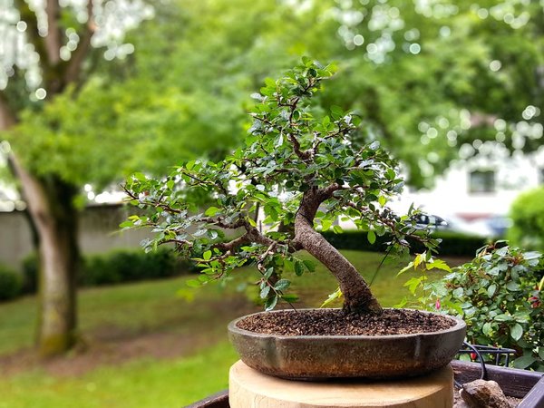 20180516_095702.jpg