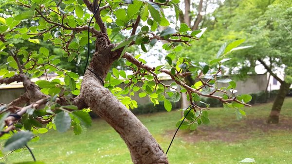 20180517_120135.jpg