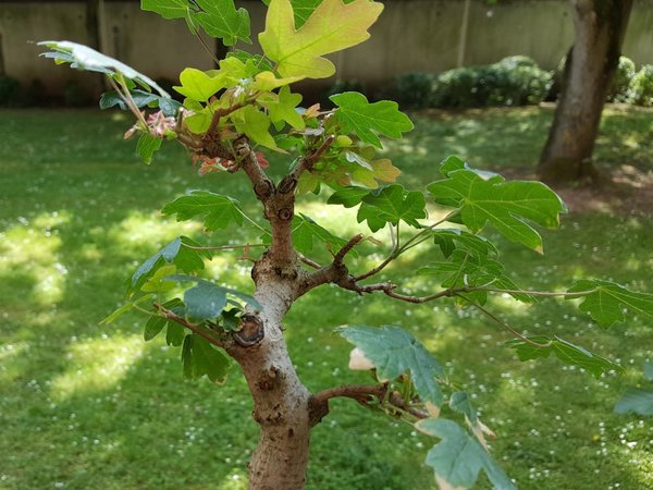20180519_143130.jpg