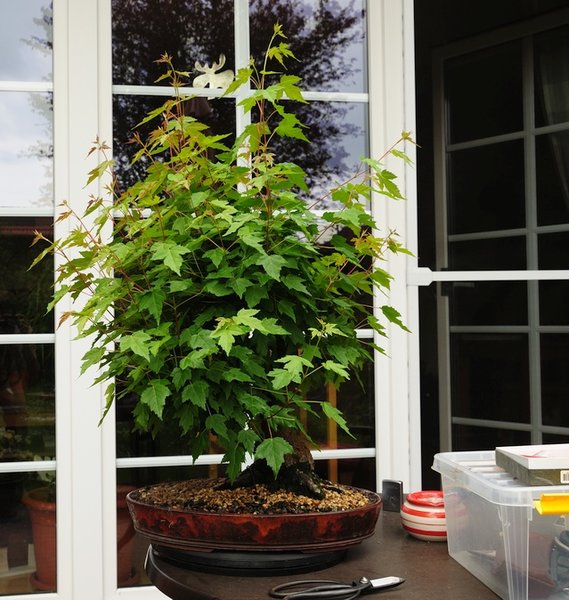 20180519.jpg