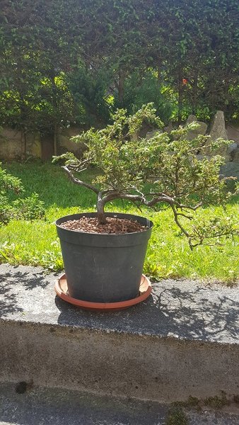 20180513_122924.jpg