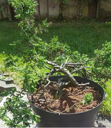 20180513_122952.jpg