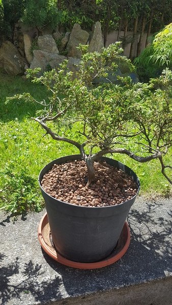 20180513_123003.jpg