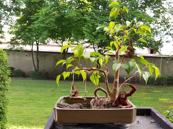 20180526_191456.jpg