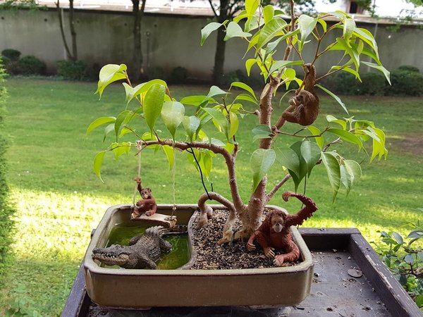 20180526_191507.jpg