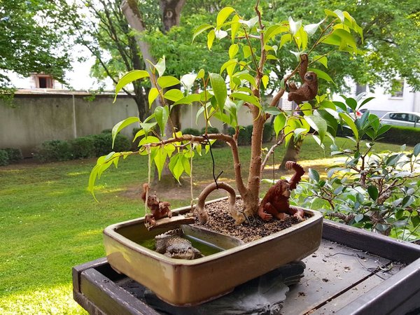 20180526_191515.jpg