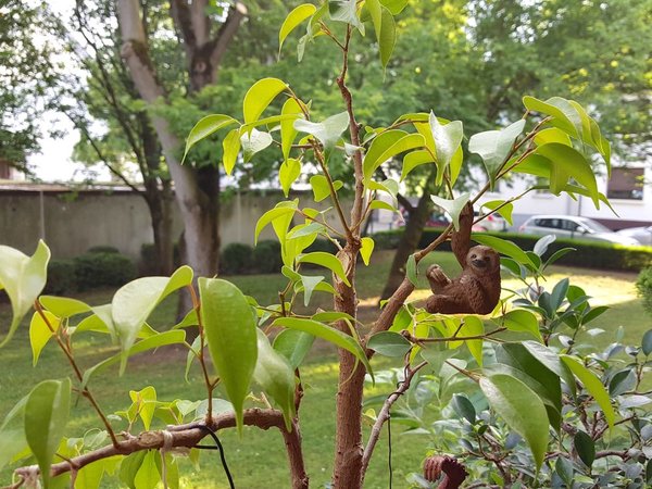 20180526_191521.jpg