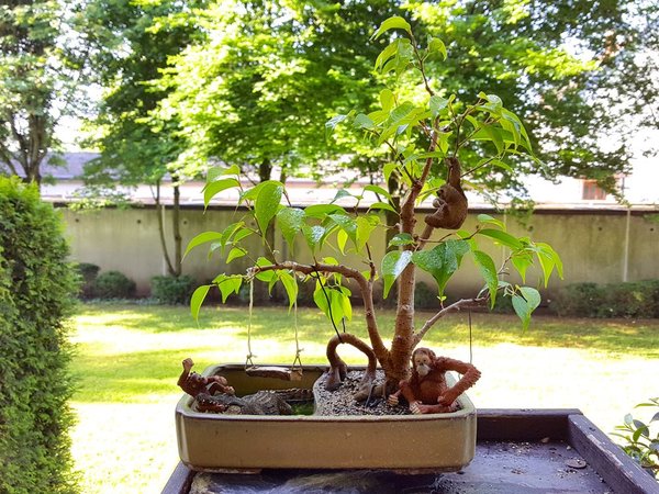 20180527_081336.jpg