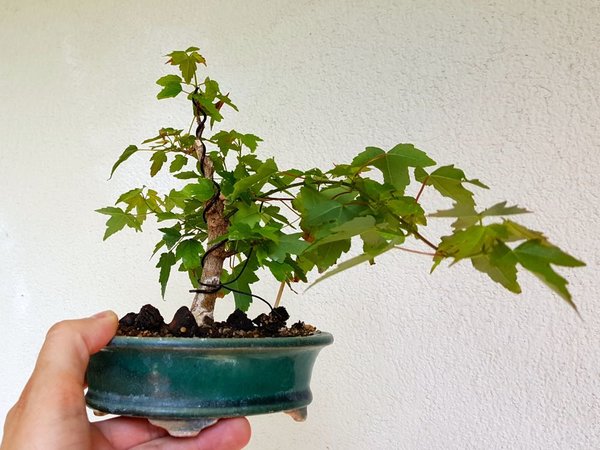 20180527_121928.jpg