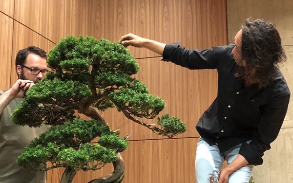 Hiroaki Suzuki war immer auf Augenhöhe mit der Cuspidata