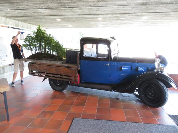 Der Wagen mit dem Baum werden "gewaschen" und "poliert"