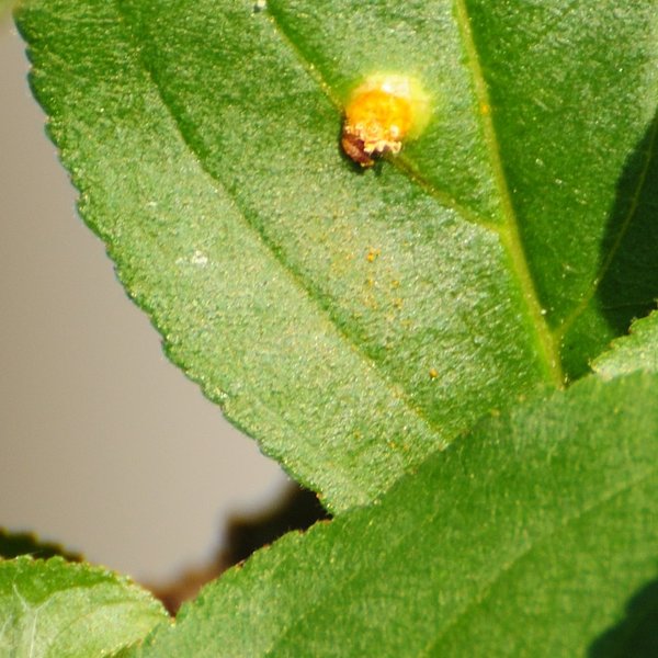 20180528_a.jpg