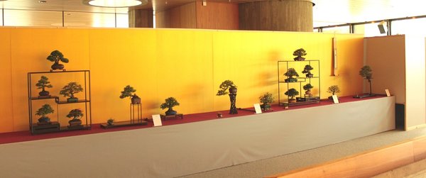 shohin 01.JPG