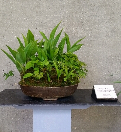 2018-05-29 04.16.20.jpg