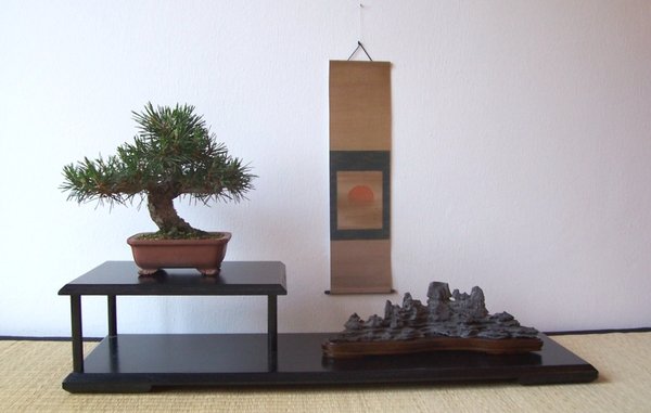 Schwarzkiefer und Suiseki.jpg