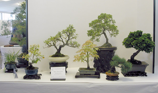 Shohinsammlung