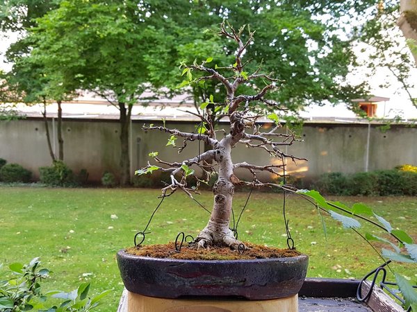 20180602_202219.jpg