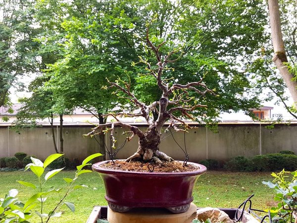 20180607_102642.jpg