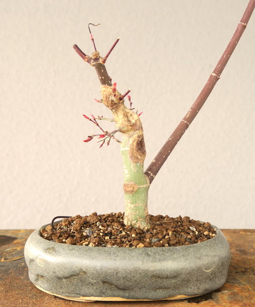 05. April 2018
