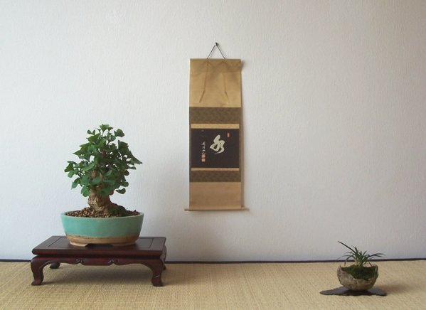 Ginkgo_1.jpg