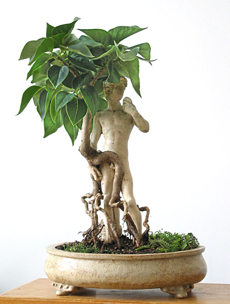 "David &amp; Syringa"