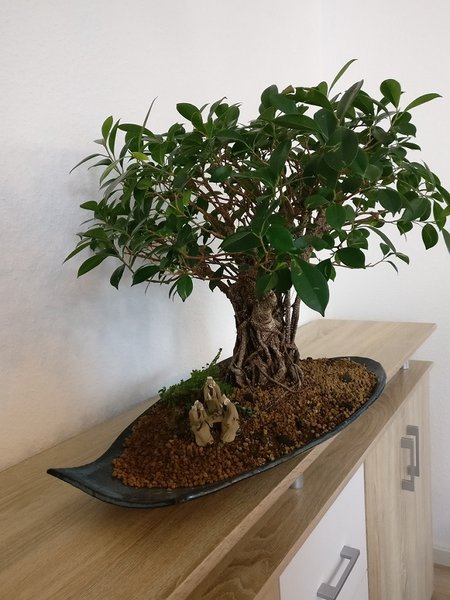 Aktueller Stand 06/2018