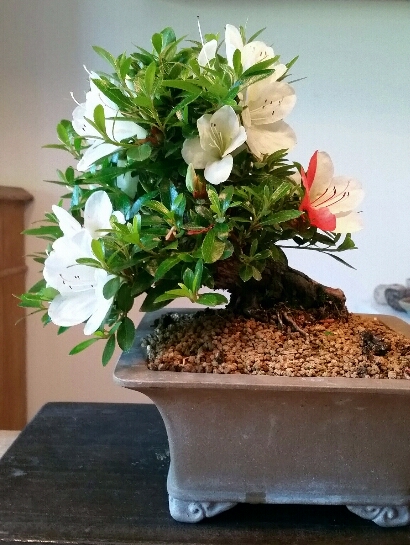 2018-06-16 16.51.38.jpg