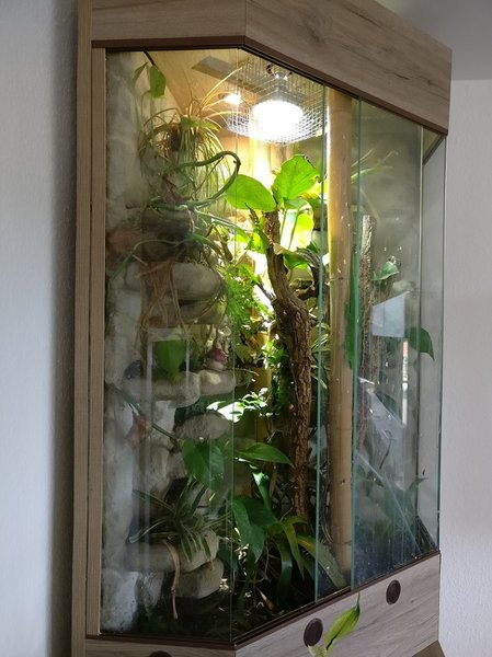 Rückwand