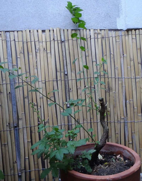 image-2018-06-20.jpg