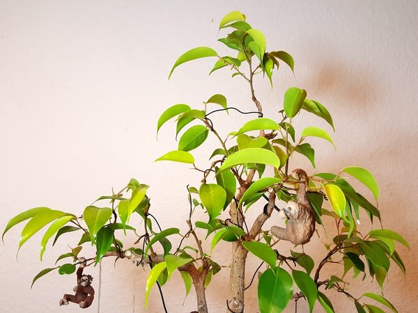 20180623_222821.jpg
