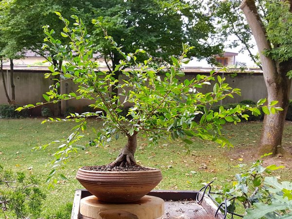 20180625_114444.jpg