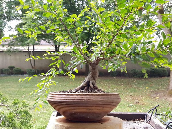 20180625_114456.jpg