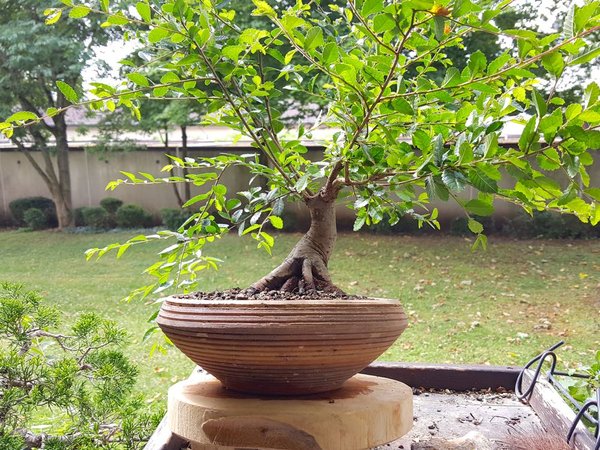 20180625_114503.jpg